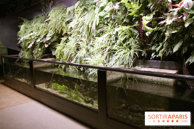 Aquarium de la Porte Dorée à Paris