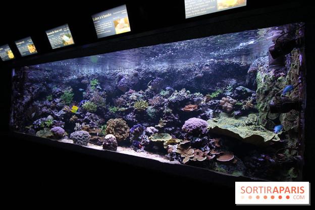 Aquarium de la Porte Dorée à Paris
