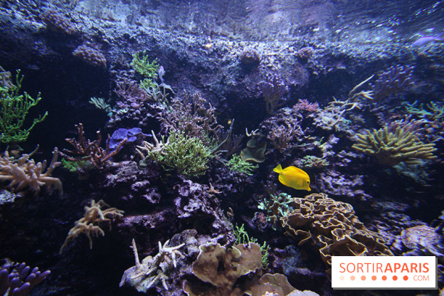 Aquarium de la Porte Dorée à Paris