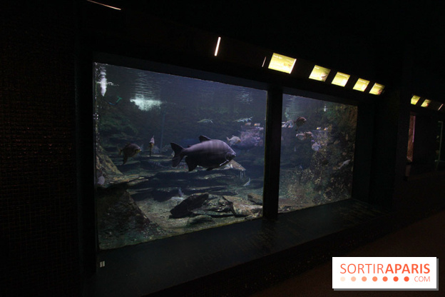 Aquarium de la Porte Dorée à Paris