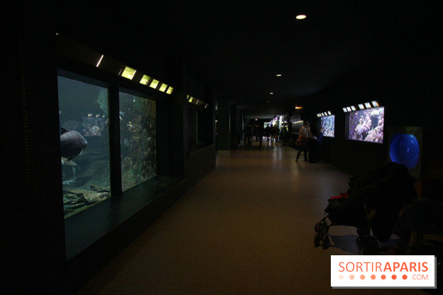 Aquarium de la Porte Dorée à Paris