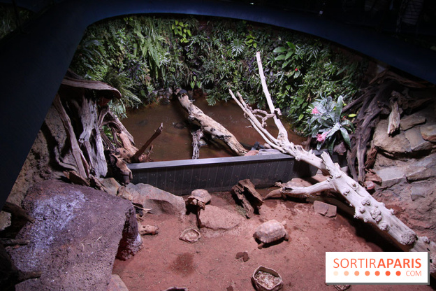 Aquarium de la Porte Dorée à Paris