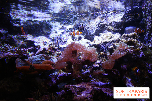 Aquarium de la Porte Dorée à Paris