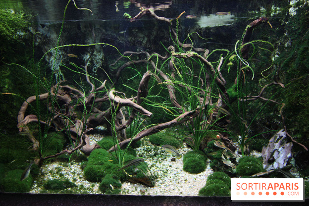 Aquarium de la Porte Dorée à Paris