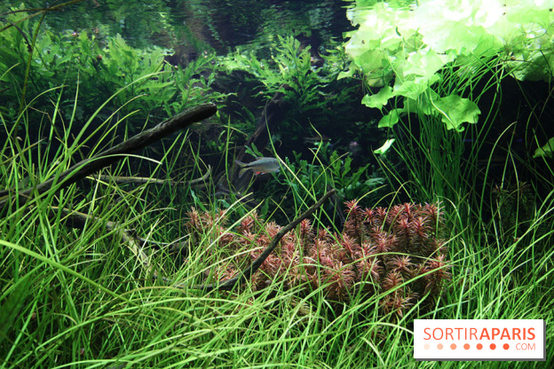 Aquarium de la Porte Dorée à Paris