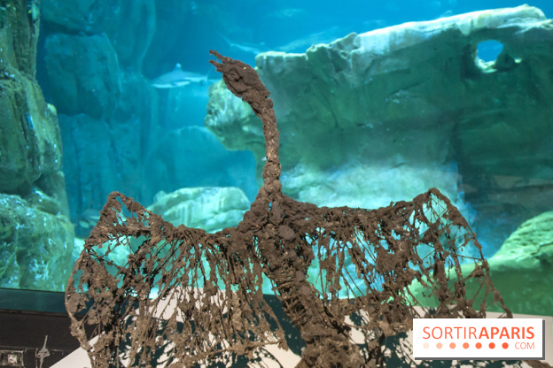 Aquarium de Paris : La Fabrique des profondeurs, l'exposition de Lionel Sabatté