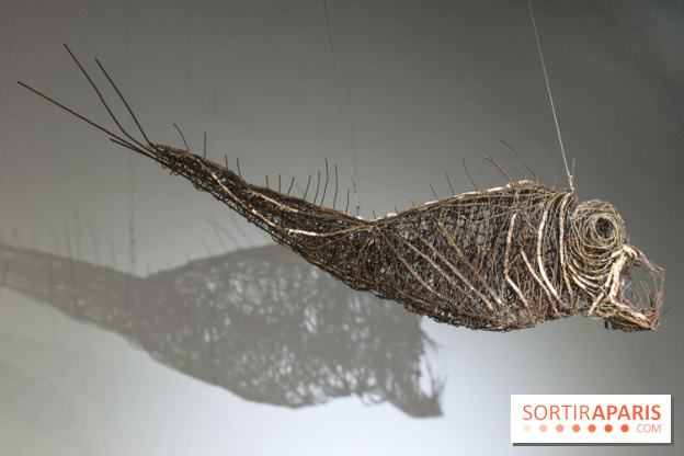 Aquarium de Paris : La Fabrique des profondeurs, l'exposition de Lionel Sabatté