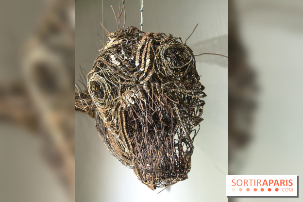 Aquarium de Paris : La Fabrique des profondeurs, l'exposition de Lionel Sabatté