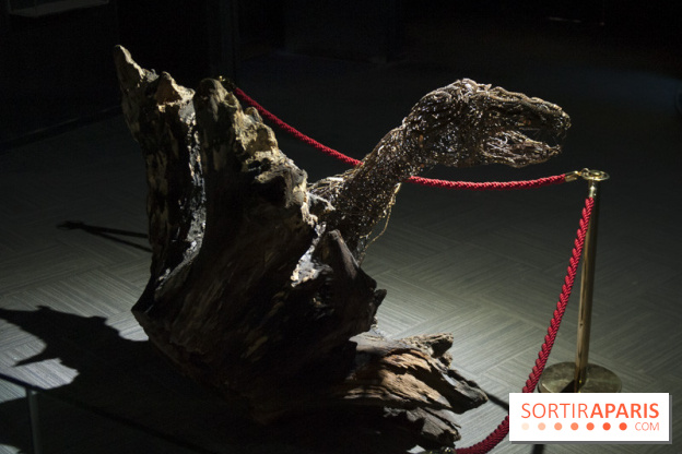 Aquarium de Paris : La Fabrique des profondeurs, l'exposition de Lionel Sabatté