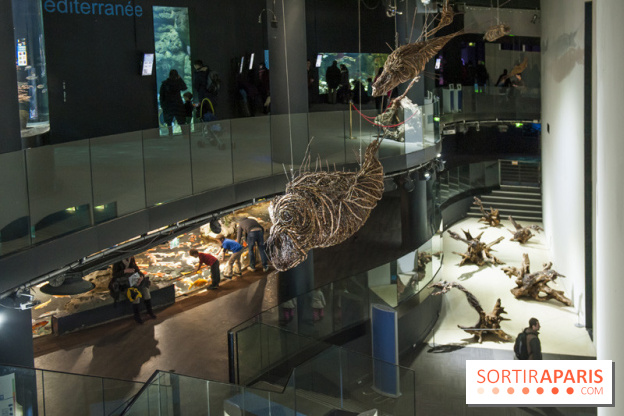 Aquarium de Paris : La Fabrique des profondeurs, l'exposition de Lionel Sabatté