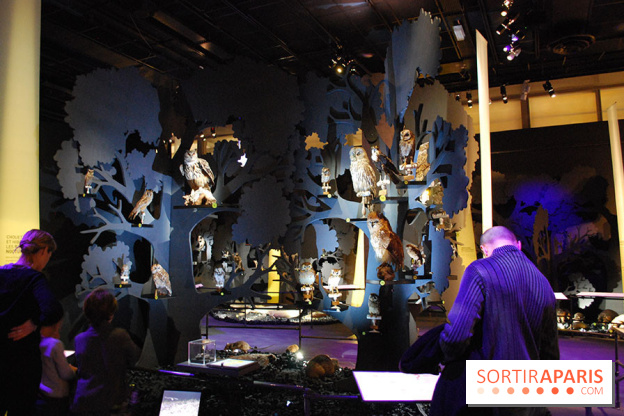 Exposition Nuit au Muséum Natinaol d'Histoire Naturelle