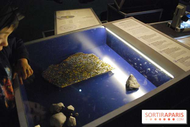 Exposition Nuit au Muséum Natinaol d'Histoire Naturelle