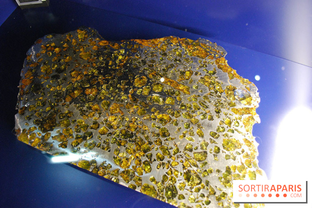 Exposition Nuit au Muséum Natinaol d'Histoire Naturelle