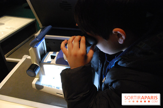 Exposition Nuit au Muséum Natinaol d'Histoire Naturelle