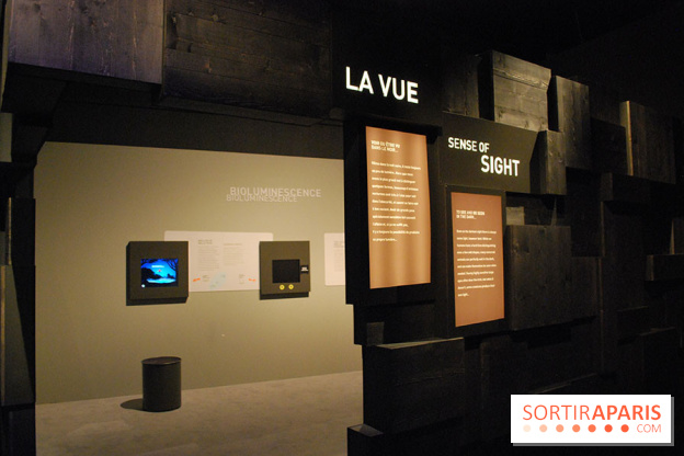 Exposition Nuit au Muséum Natinaol d'Histoire Naturelle