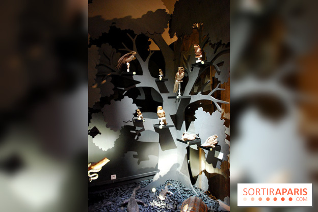 Exposition Nuit au Muséum Natinaol d'Histoire Naturelle