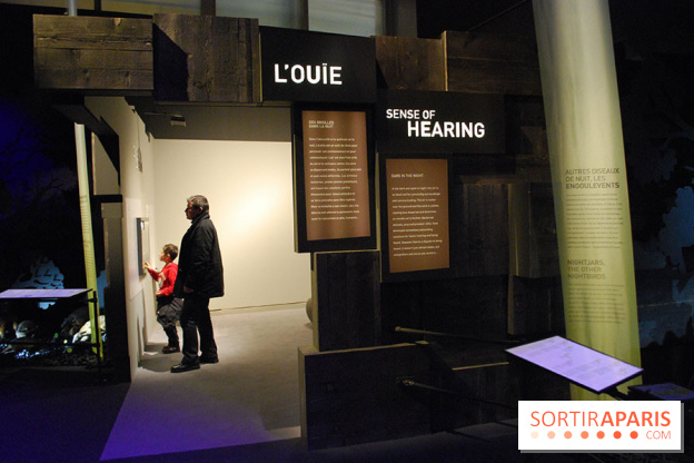 Exposition Nuit au Muséum Natinaol d'Histoire Naturelle