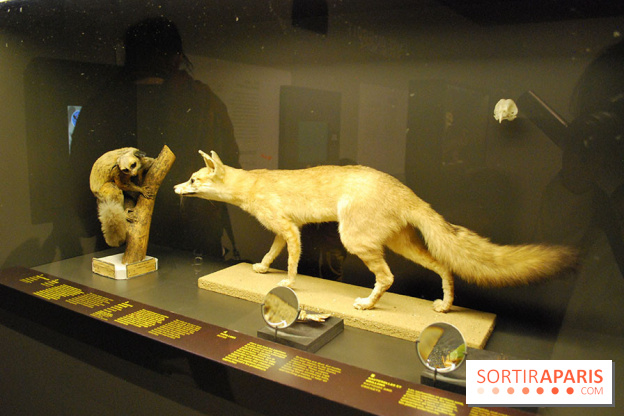 Exposition Nuit au Muséum Natinaol d'Histoire Naturelle