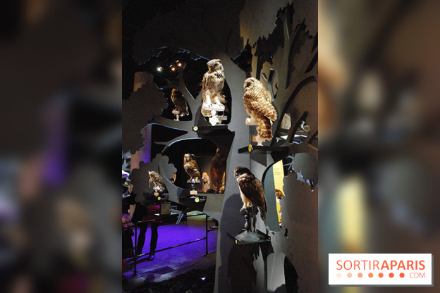 Exposition Nuit au Muséum Natinaol d'Histoire Naturelle