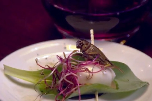 Le Festin Nu : le bar où manger des insectes à Paris 