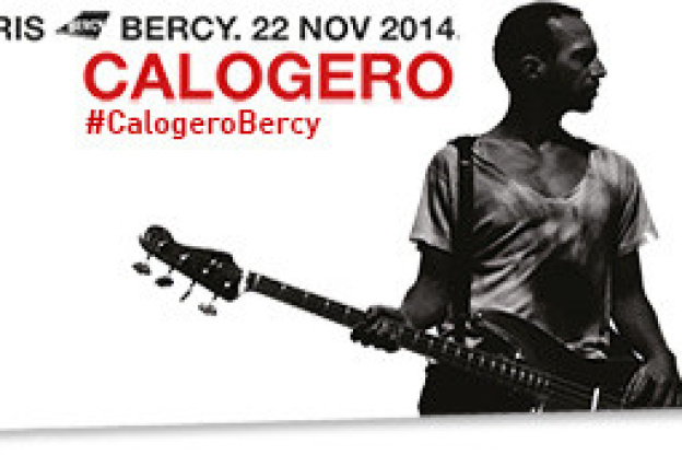Calogero en concert à Paris Bercy en novembre 2014