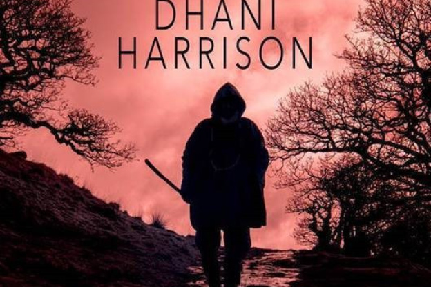 Dhani Harrison, le fils de George, en concert à la Maroquinerie à Paris