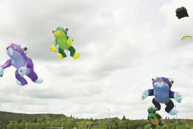 Animations Cerf-Volant sur les Berges de Seine