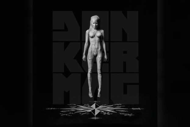 Die Antwoord en concert au Zénith de Paris en janvier 2015