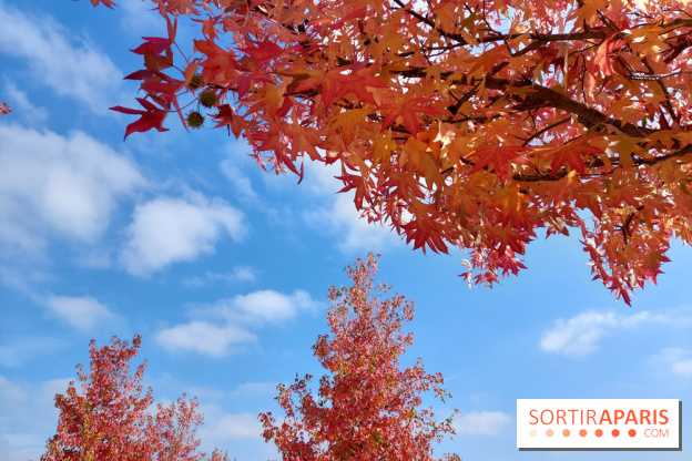 Que faire ce week-end à Paris et en Île-de-France, les 17, 18 et 19 octobre 2025 