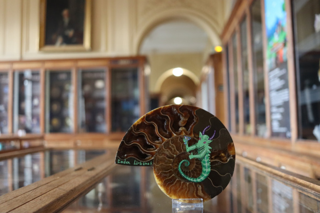 Codex on the Rocks : du street art au Musée de Minéralogie de l'École des Mines de Paris 