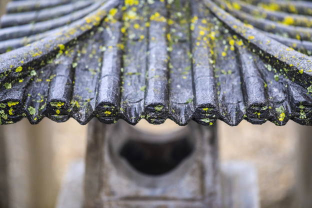Rendez-vous aux jardins 2026 : visite zen d'un jardin japonisant en Essonne