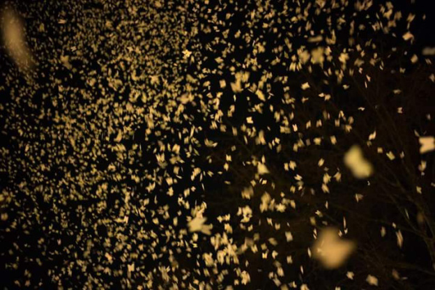 Nuit Blanche 2016 à Paris : Tempête Blanche by Anne Cazaubon