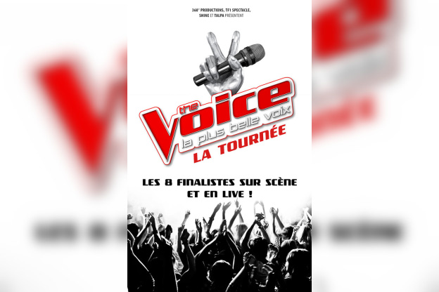 The Voice, la tournée 2017, au Palais des Sports de Paris