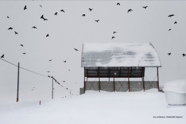 "En dessous de zéro" : expo photo de Christophe Jacrot à la Galerie de l'Europe
