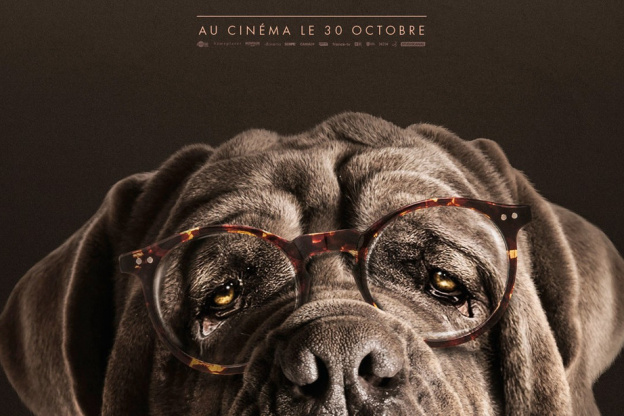 Mon Chien Stupide au cinéma : nouveau film d'Yvan Attal avec Charlotte Gainsbourg