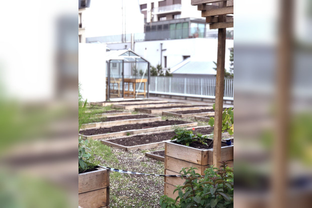 Laïa : nouvelle table ensoleillée à Paris attendue en janvier 2020