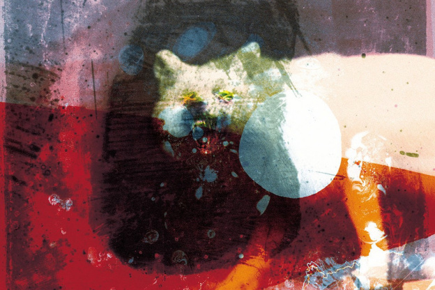 Mogwai en concert à La Salle Pleyel à Paris en février 2022