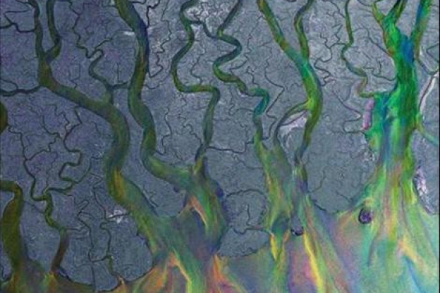 Alt-J en concert à l’Olympia en octobre 2013