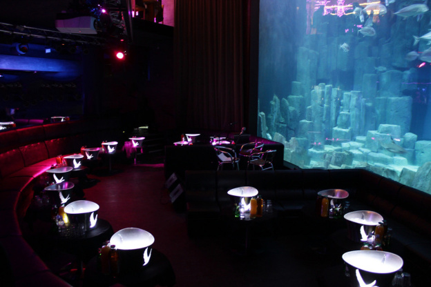 Ouverture du club « L’Aquarium » à l’Aquarium de Paris en septembre 2013