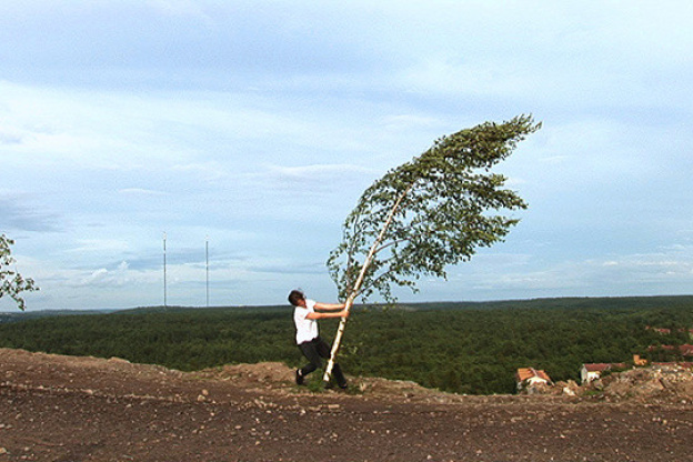 D'après nature à l'Institut Suédois 