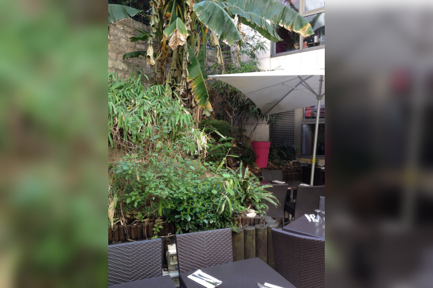 Le jardin de Noura Montparnasse : soleil et mezzés en folie !