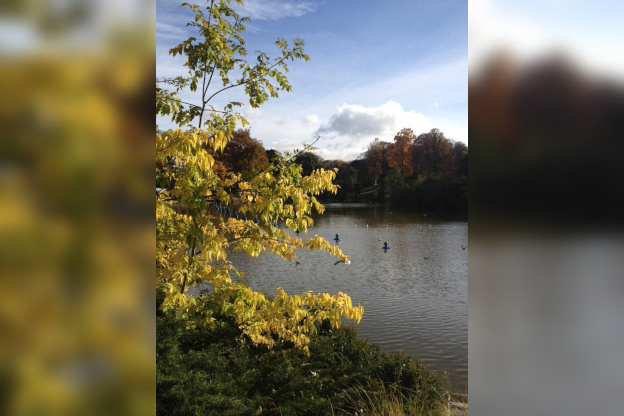 La COP21 s'invite au parc Montsouris 