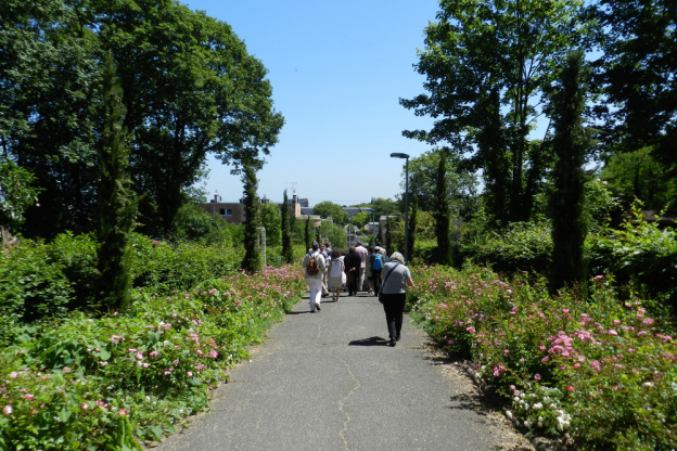 La Seine-Saint-Denis ouvre ses jardins : activités gratuites !