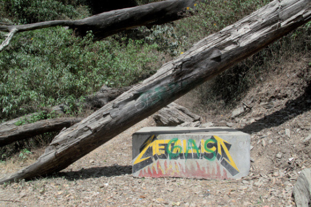 Alexandre Estrela, l'exposition à la Fondation Calouste Gulbenkian