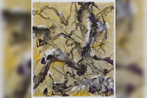 Mathieu Salomon expose à l'Œil du Huit !