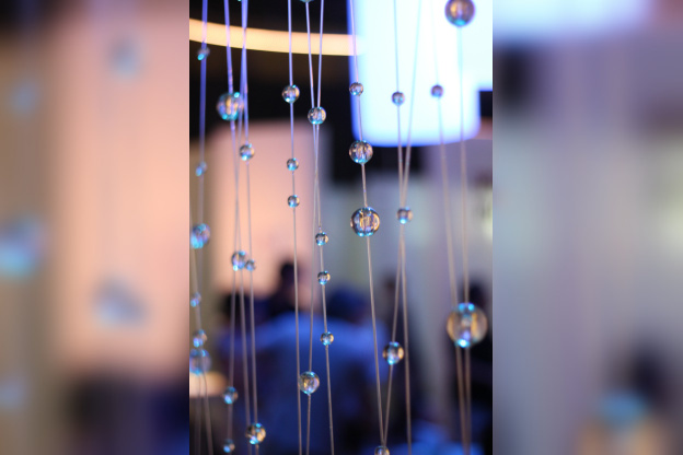 Au fil des araignées MNHN