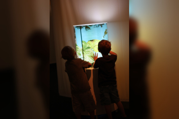 Au fil des araignées MNHN