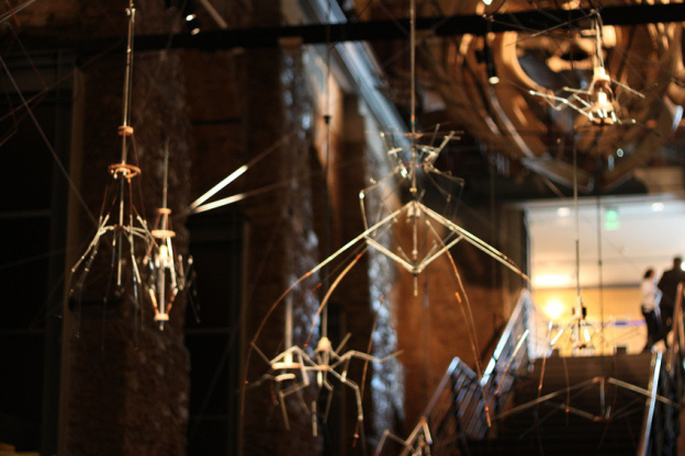 Au fil des araignées MNHN