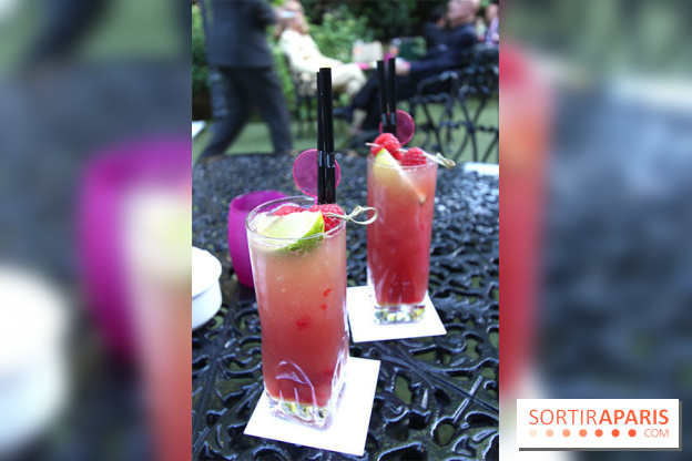 La Terrasse du Saint-James et son Bar à Rosés