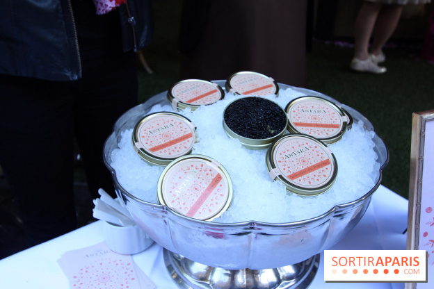La Terrasse du Saint-James et son Bar à Rosés